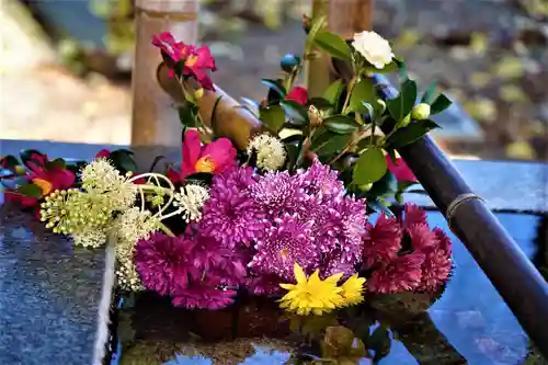 高司神社〜むすびの神の鎮まる社〜の手水舎