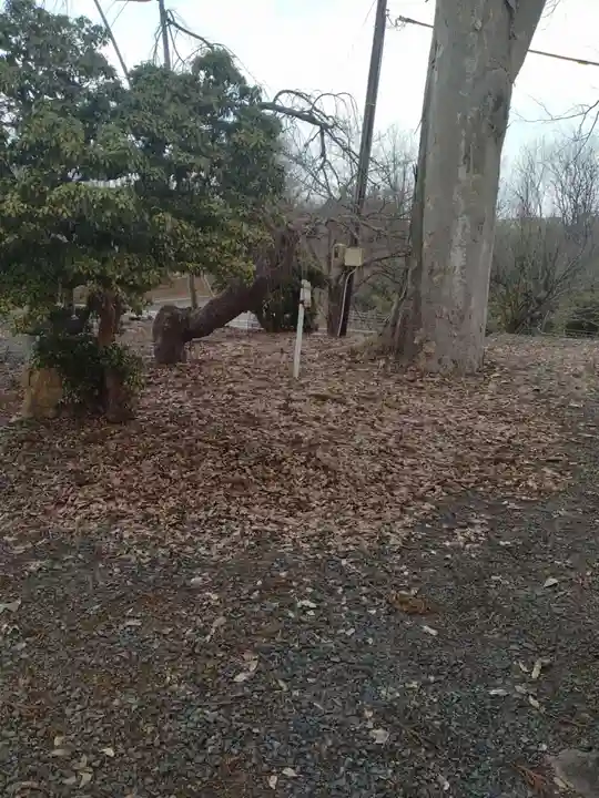 神明神社(金瓶)(山形県)