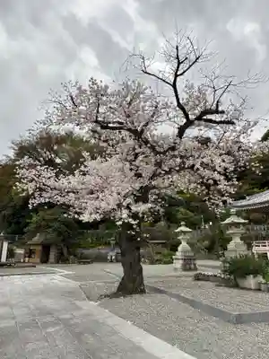弘誓院(神奈川県)