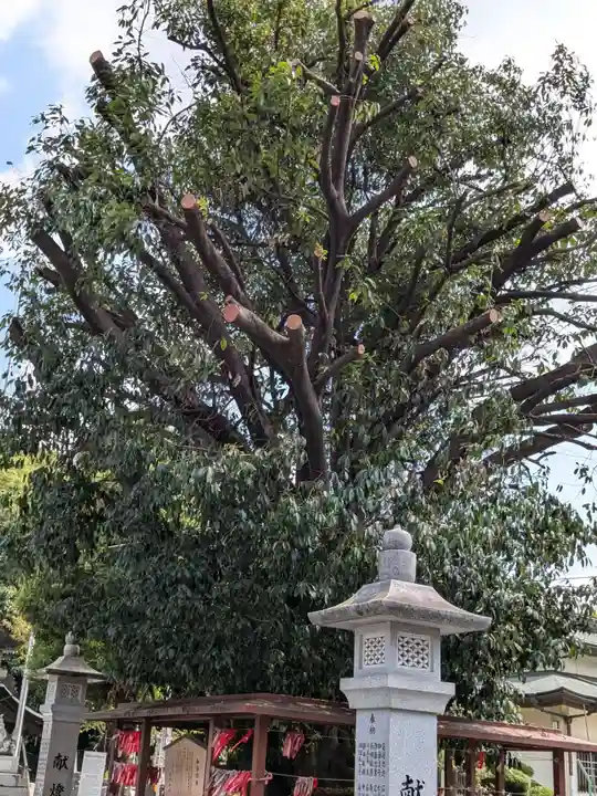 白山神社(二子町)の自然