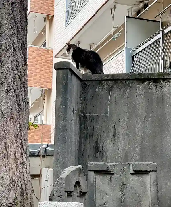 小野照崎神社(東京都)