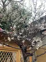 菅原院天満宮神社(京都府)