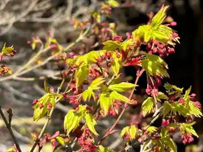 伊勢の国 四天王寺(三重県)
