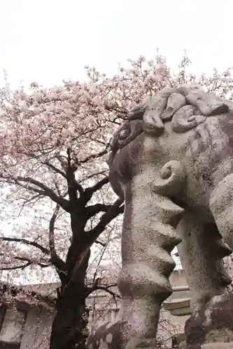 白山神社の狛犬