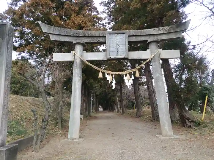 千代ケ岡八幡宮(栃木県)