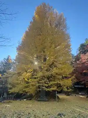 正法寺(埼玉県)