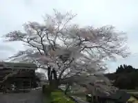 荘厳寺(岐阜県)