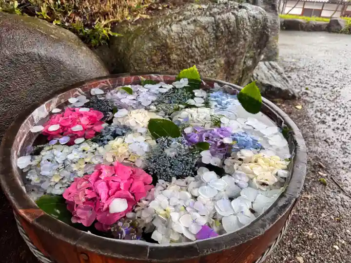 長慶寺(大阪府)