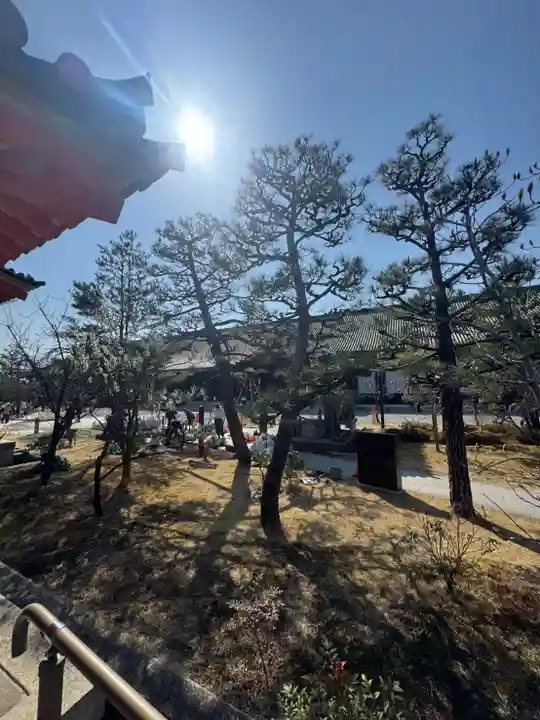 蓮華王院(三十三間堂)の御朱印