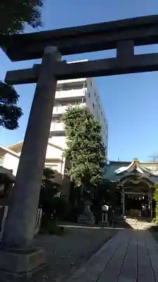 猿江神社の鳥居