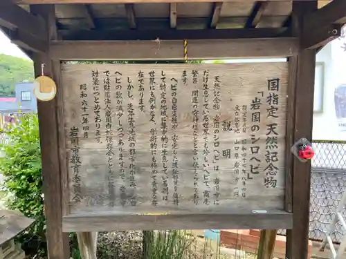 岩国白蛇神社(山口県)