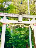 日先神社の鳥居