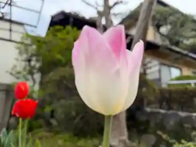 西方山極楽寺(岐阜県)