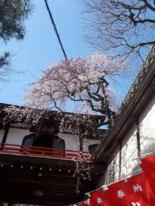 朝護孫子寺(奈良県)
