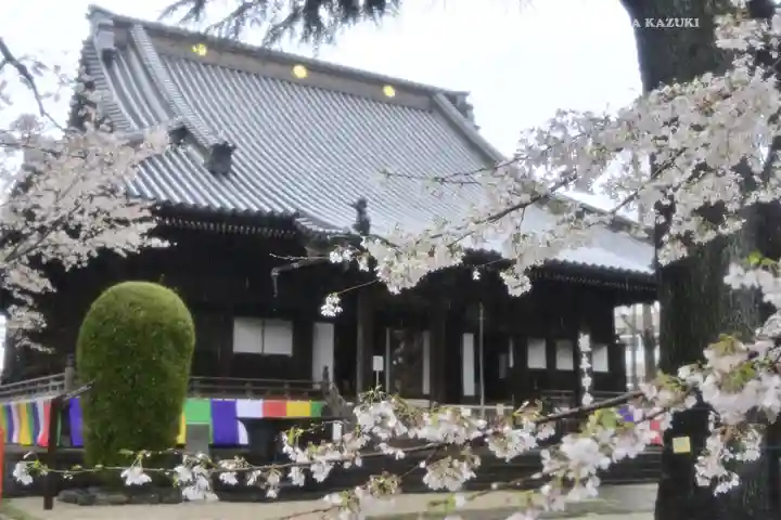 寛永寺(根本中堂)(東京都)