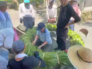 美奈宜神社(福岡県)(2024年07月30日(火) 13時34分31秒投稿)