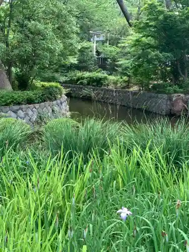 寒川神社の庭園