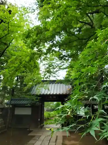 妙法寺の山門