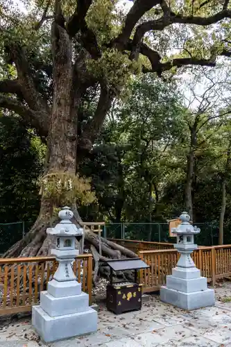 和泉國一之宮　大鳥大社の自然