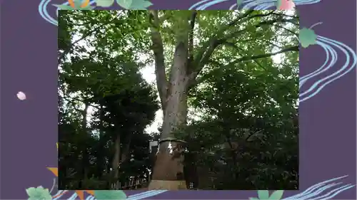 鎮守氷川神社(埼玉県)