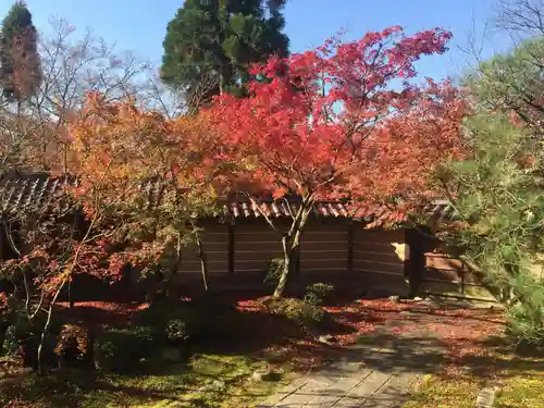 禅林寺（永観堂）の景色