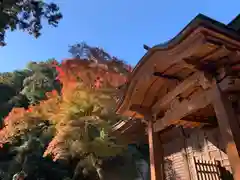 普門寺(切り絵御朱印発祥の寺)(愛知県)