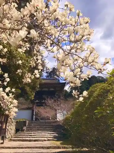 長岳寺の山門