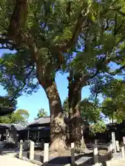 羽利神社(愛知県)