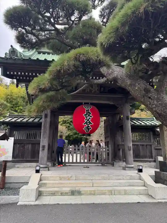 長谷寺の山門・神門