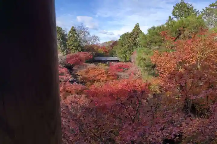 東福禅寺(東福寺)の自然