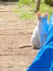 菱野健功神社の動物