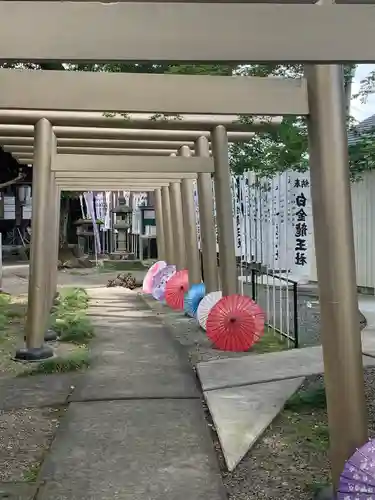 白金龍王社(愛知県)