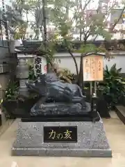 摩利支天 徳大寺の狛犬