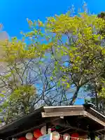 伊達神社(北海道)