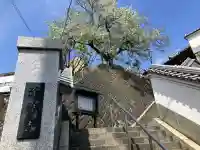 蓮法寺の{uncategorized: "未分類", other: "その他", undefined: "問題あり", building: "その他建物", grave: "お墓", sacred_gate: "鳥居", guardian: "狛犬", statue: "像", buddha: "仏像", history: "歴史", nature: "自然", garden: "庭園", animal: "動物", pagoda: "塔", temizu: "手水舎", mountain_gate: "山門・神門", sanctuary: "本殿・本堂", subordinate: "末社・摂社", art: "芸術", scenery: "景色", jizo: "地蔵", ema: "絵馬", goshuin: "御朱印", omikuji: "おみくじ", items: "授与品その他", amulet: "お守り", goshuincho: "御朱印帳", eats: "食事", festival: "お祭り", votive_dance: "神楽", shichigosan: "七五三参", wedding: "結婚式", experience: "体験その他", initially: "初詣", around: "周辺", anti_infection: "感染症対策"}