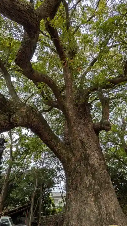 道明寺天満宮(大阪府)