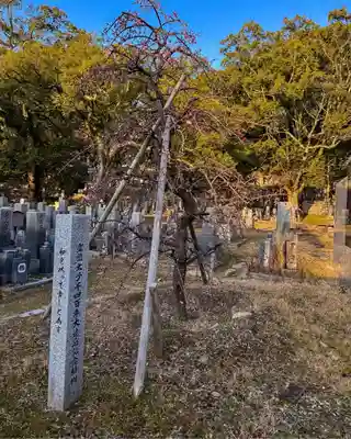 伊勢の国 四天王寺(三重県)