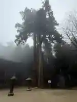 延暦寺釈迦堂(滋賀県)