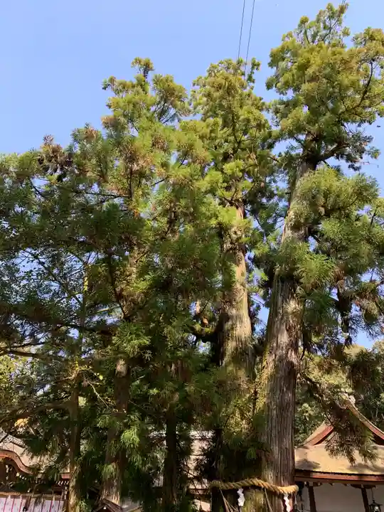 大神神社(奈良県)