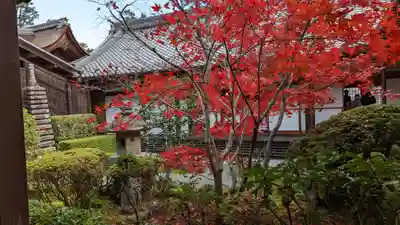 光明寺（粟生光明寺）(京都府)