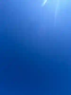 水戸東照宮(茨城県)