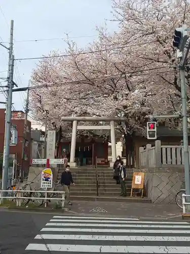 浅草富士浅間神社の鳥居