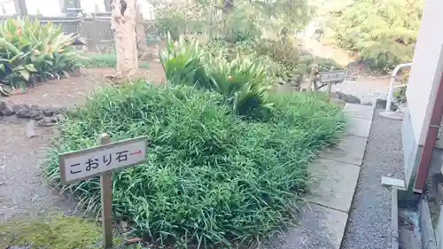 泰徳寺のその他建物