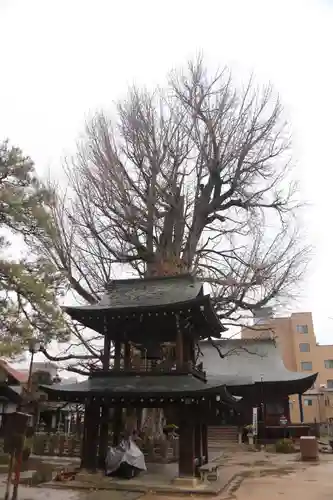 飛騨国分寺の山門