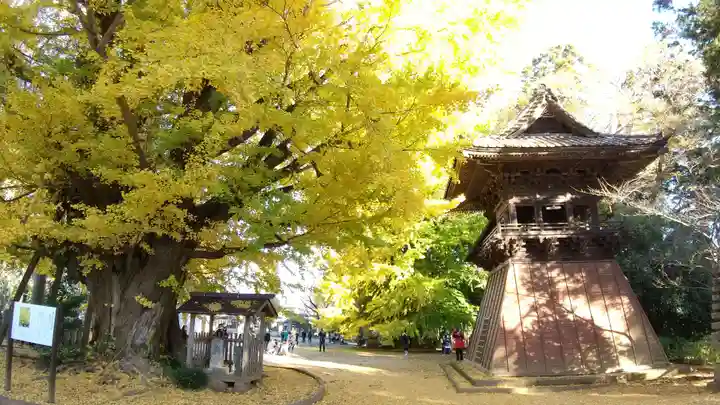 西蓮寺(茨城県)