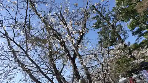 出雲大神宮(京都府)