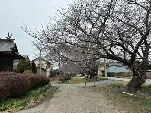 長沼八幡宮(栃木県)