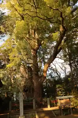神崎神社(千葉県)