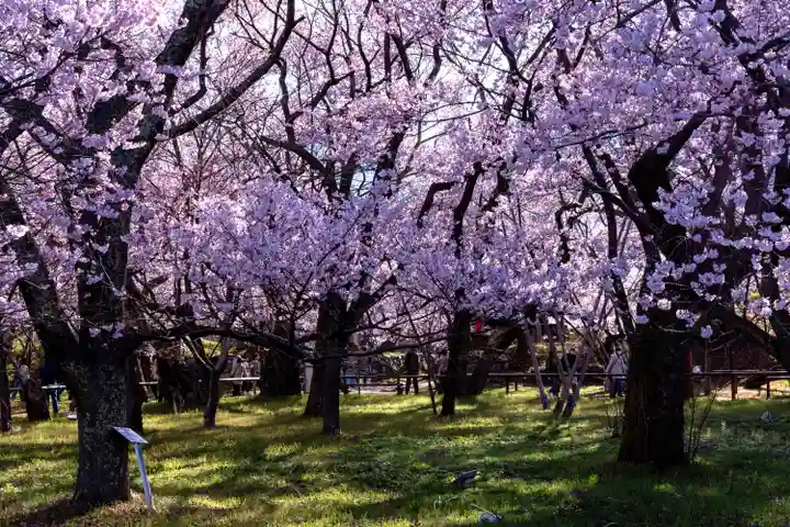 新城藤原神社(長野県)