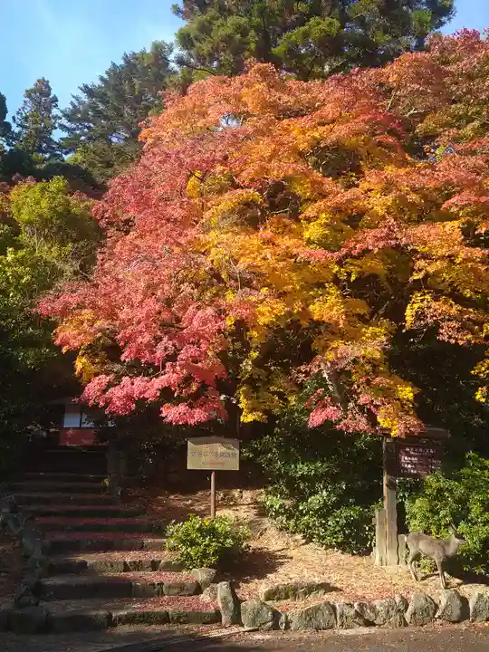 粟島神社(広島県)